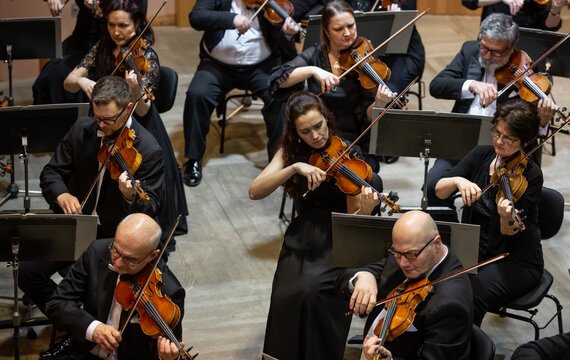 Streicher der Mährischen Philharmonie Olmütz