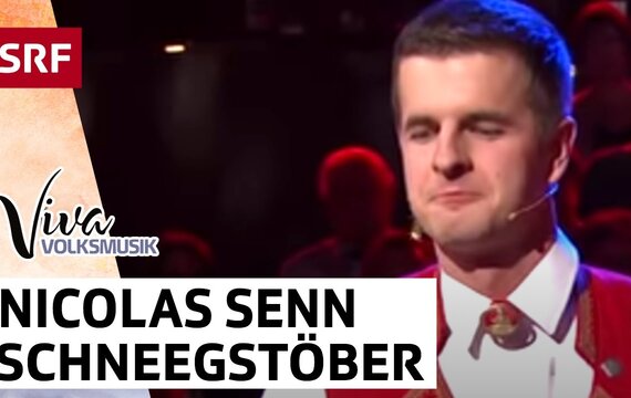 Nicolas Senn am Hackbrett